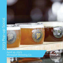 The Construction Institute's 2023 Pop-up Social. A row of 4 beer glasses sitting on a wooden tray. The glasses are filled with different types of beer, including amber ale, IPA, stout, and wheat beer. The text on the image image provides event details: April 19, 2023 at Brewport Brewing Co., hosted by The Construction Institute.